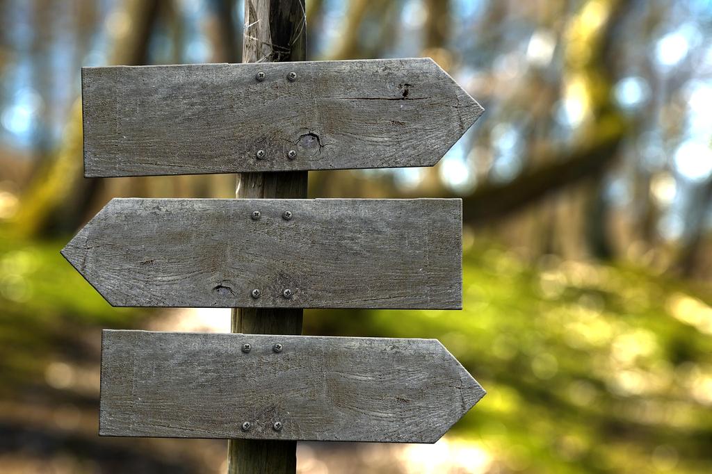 Expert guide with outdoor equipment