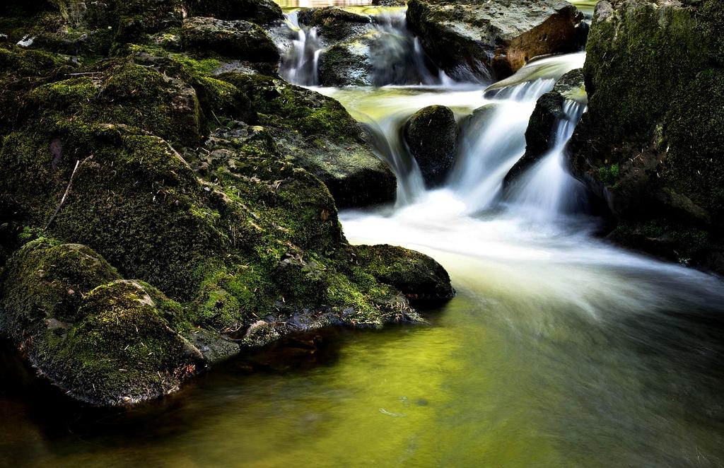 Crystal clear stream flowing through ancient forest