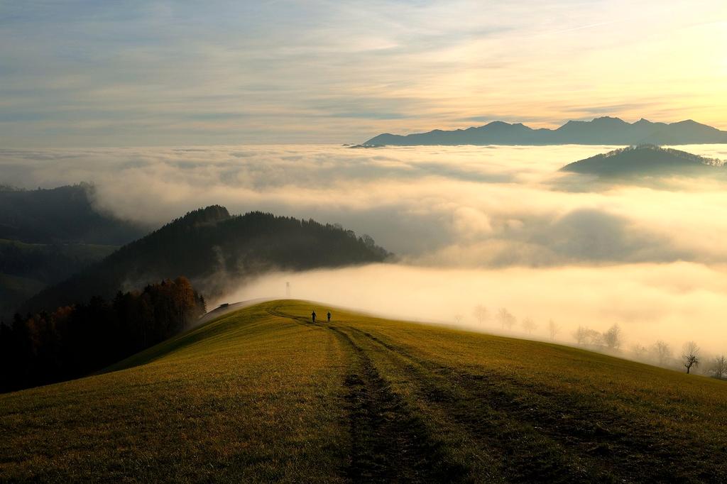 Alex Johnson, Founder