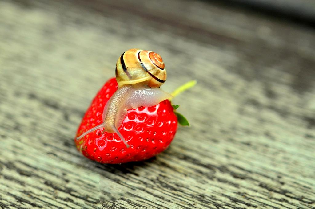 Real-time trail monitoring sensors and cameras